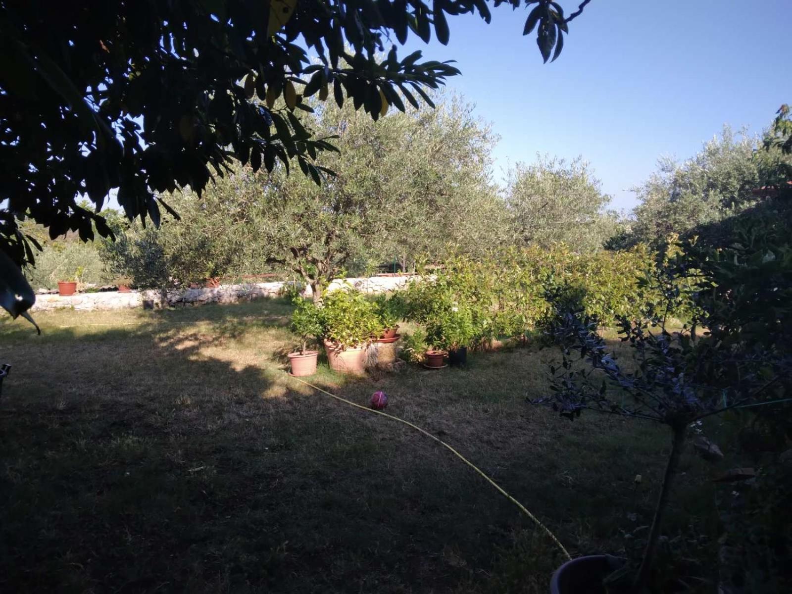Studio Apartment Rimanic Sveti Lovrec Pazenaticki Екстер'єр фото